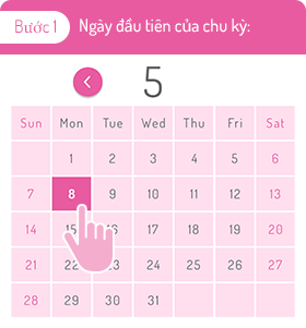 Bước 1 Ngày đầu tiên của chu kỳ: