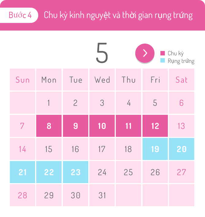 Bước 4. Chu kỳ kinh nguyệt và thời gian rụng trứng